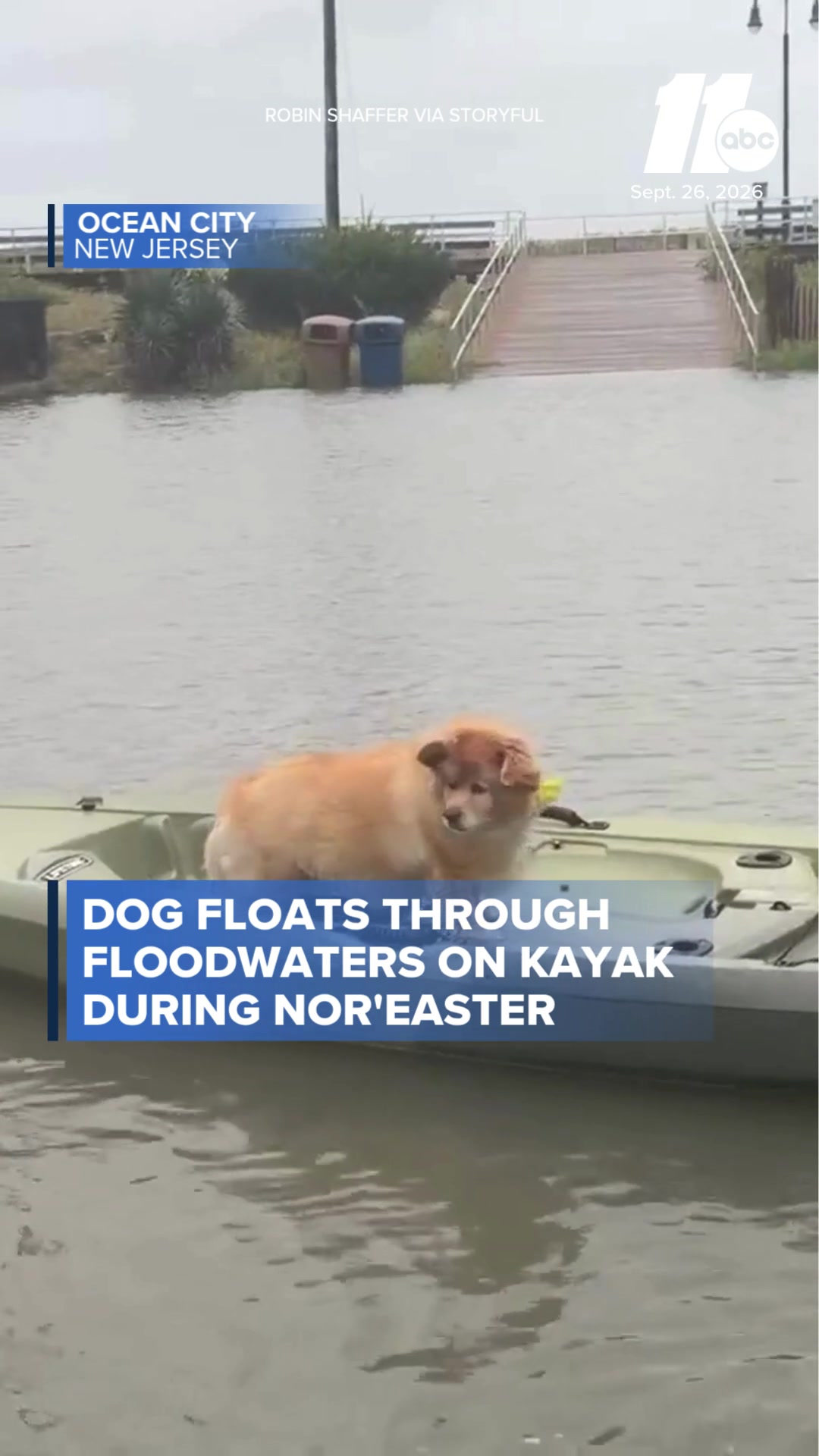 @ABC11