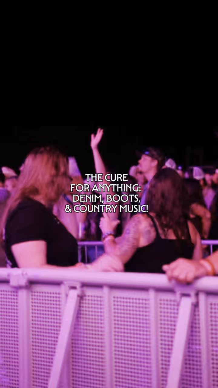 @Wild Trails Festival