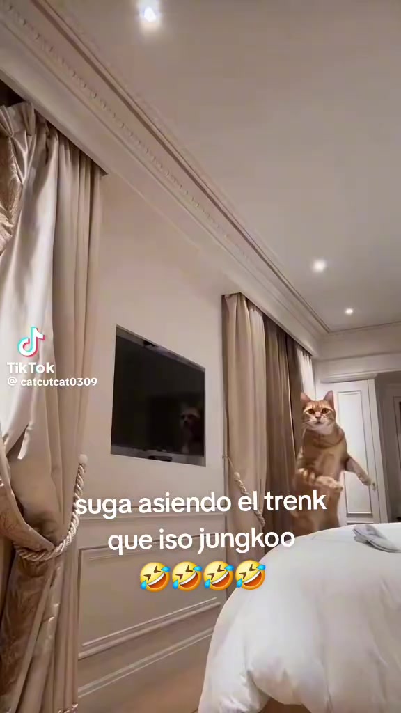 @💕Anita💕amo a jungkook❤️