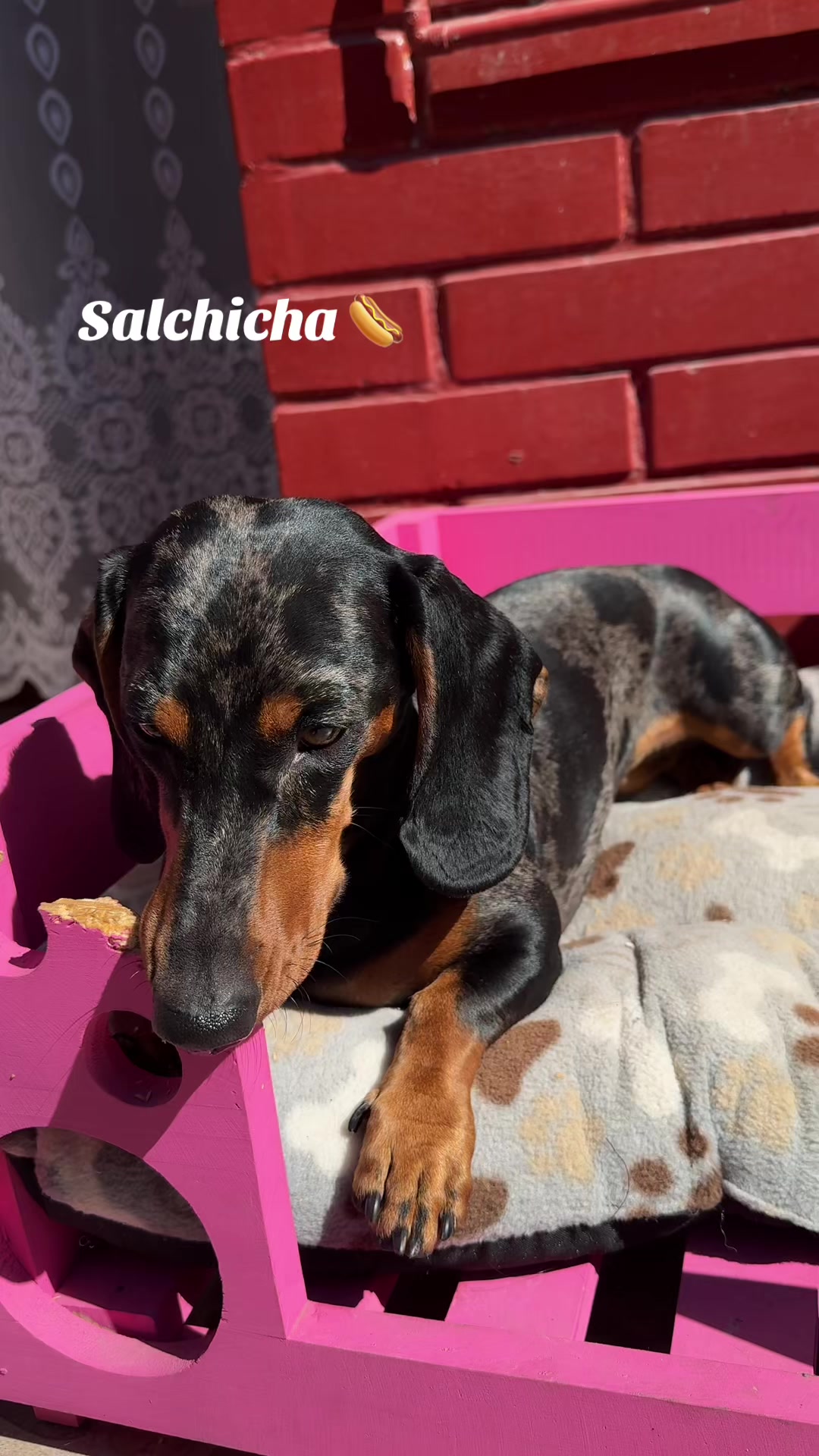 @𝑴𝒊𝒍𝒂 𝑴𝒊𝒍𝒂𝒏𝒆𝒔𝒂 🐾
