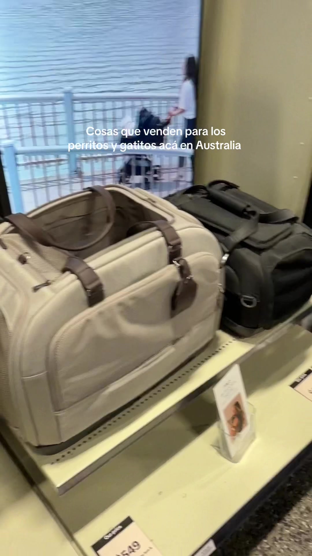 @anita.solange