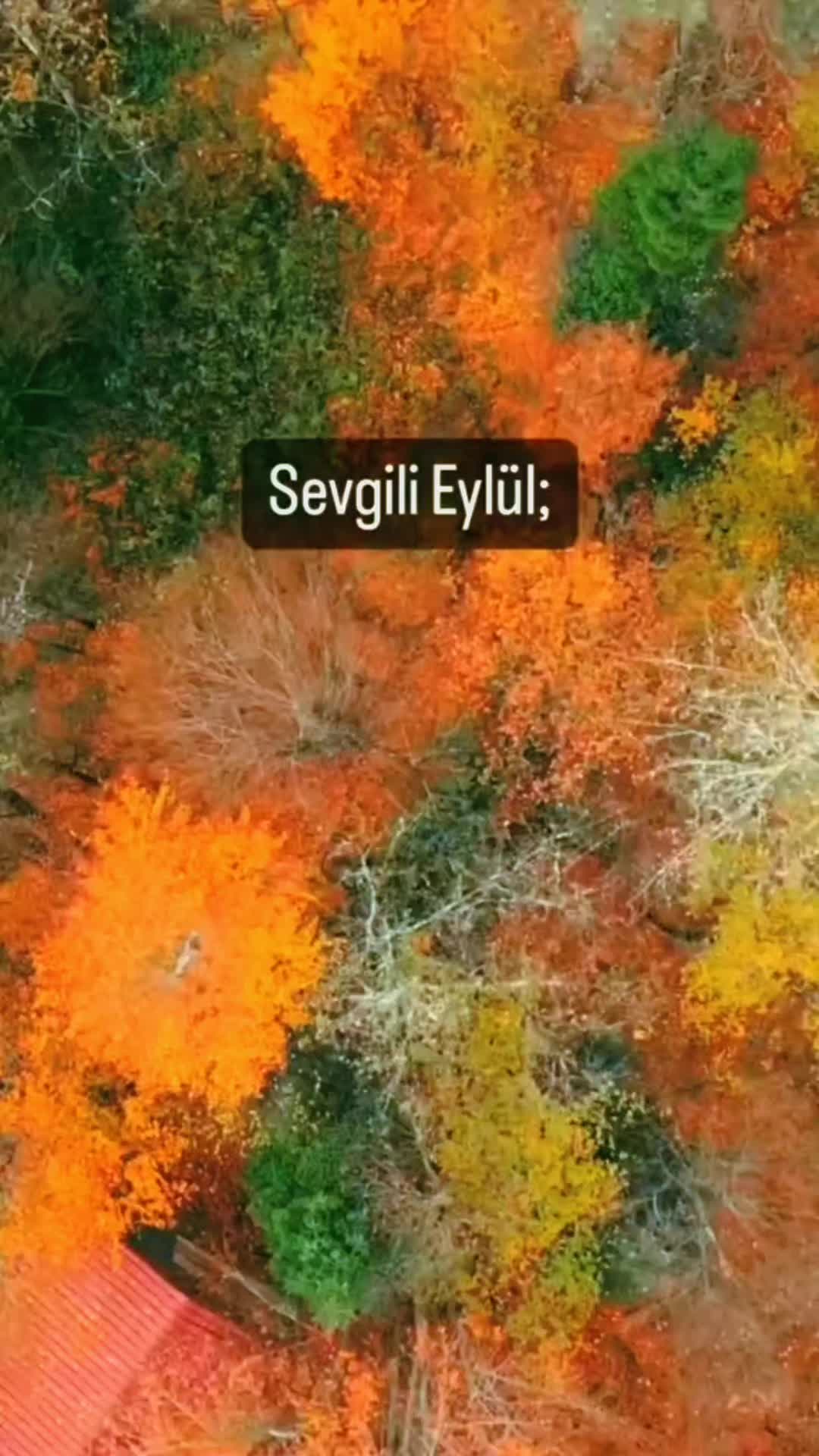 @💜💜💜💜💜