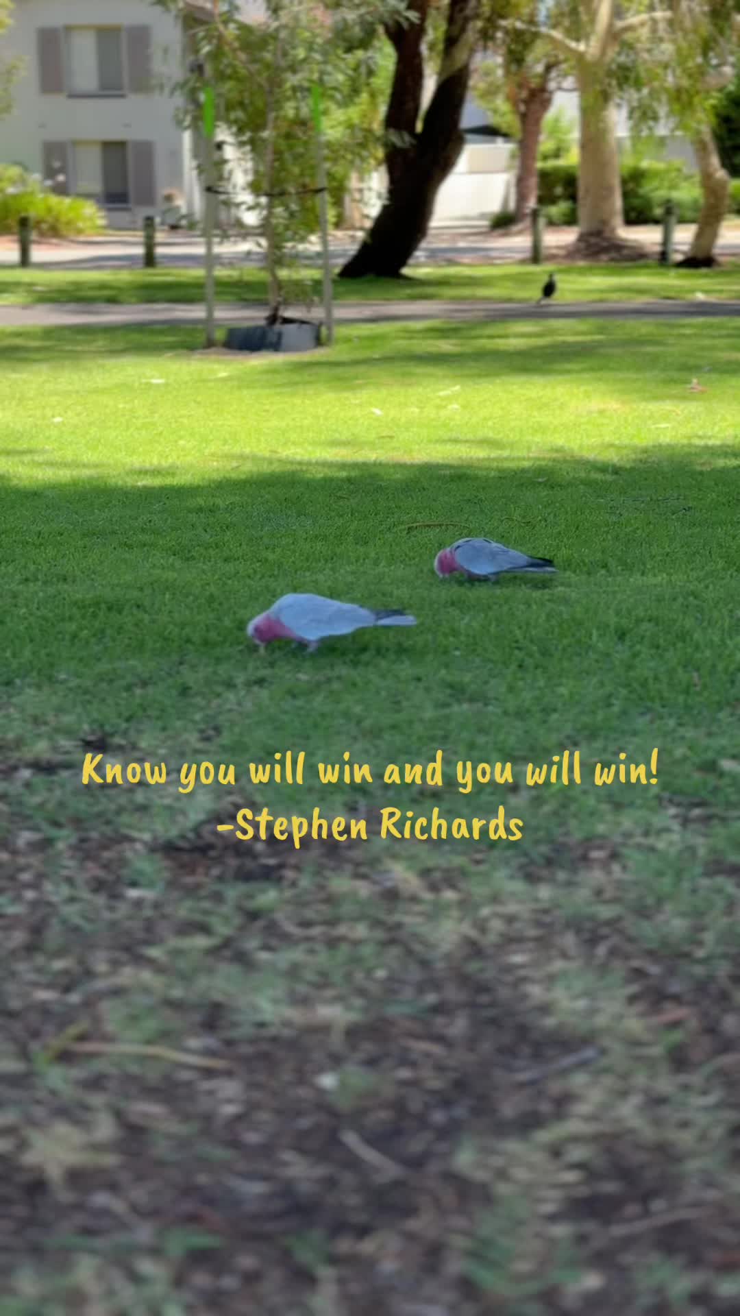 @CapturedVibes