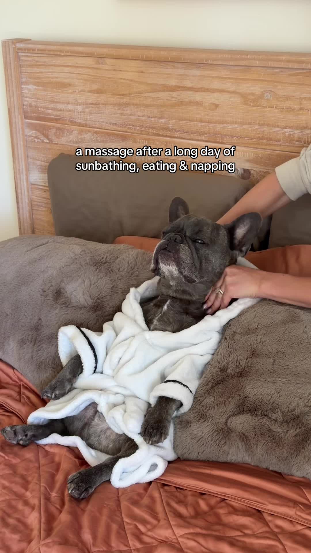 @Winston & Charlie 🐾