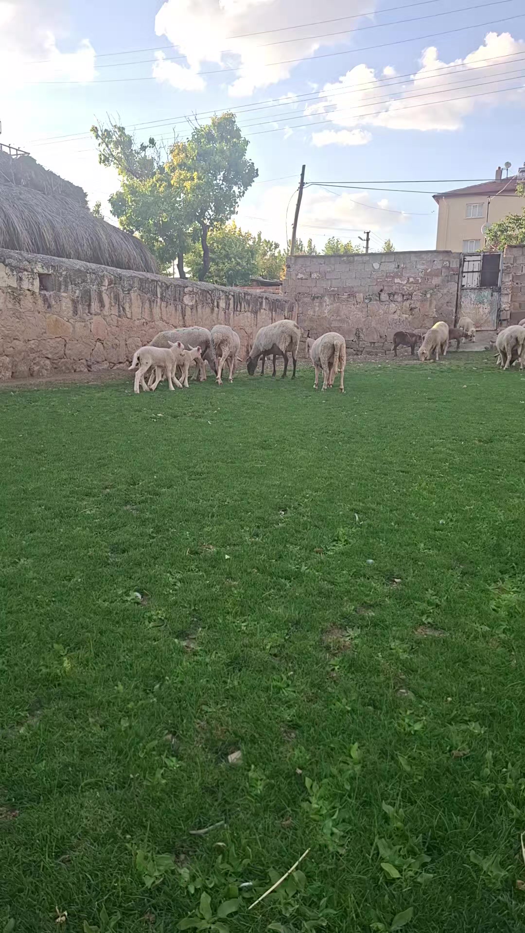 @Abd&uuml;l Baki Yılmaz
