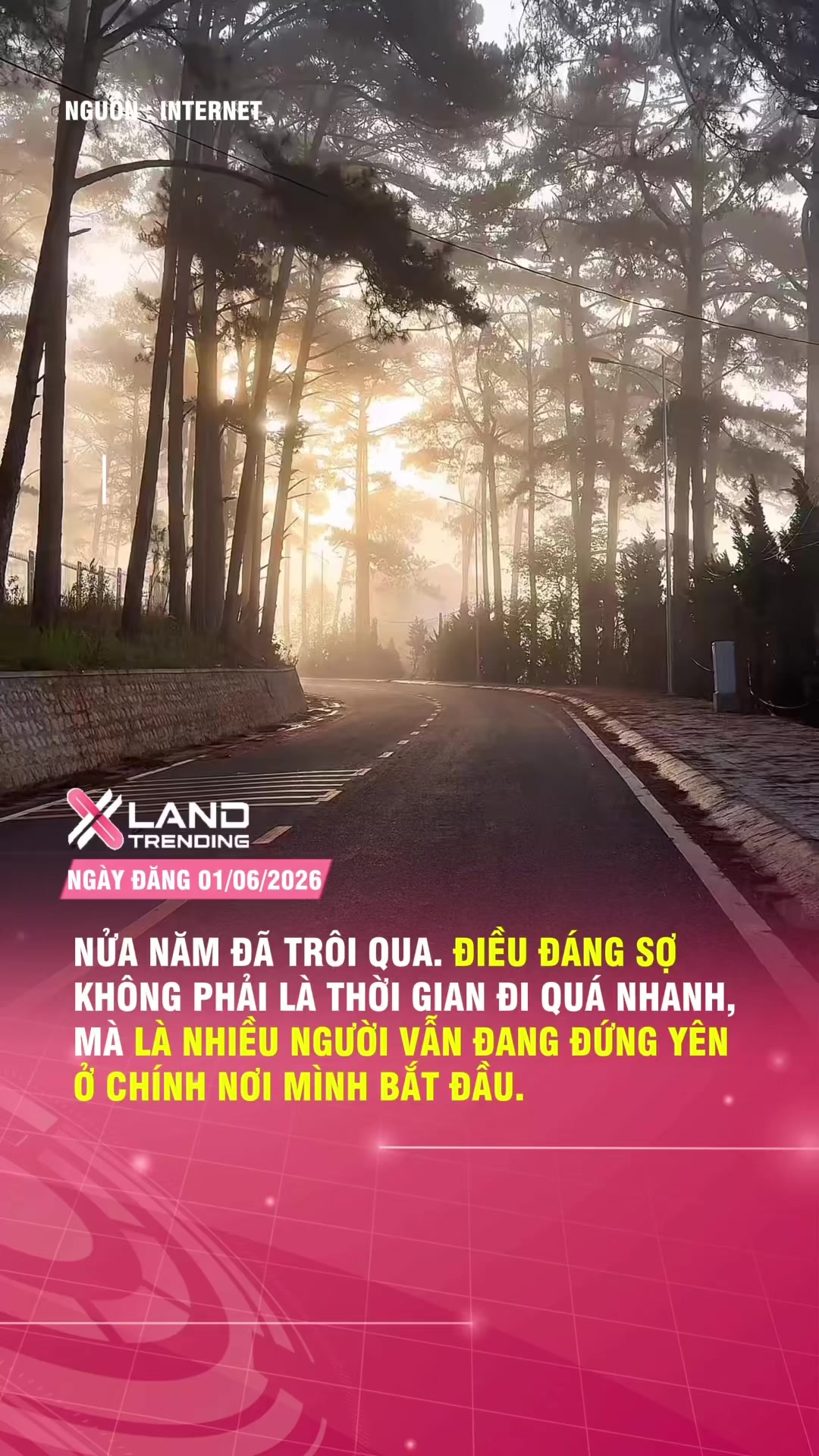 @XLAND TRENDING