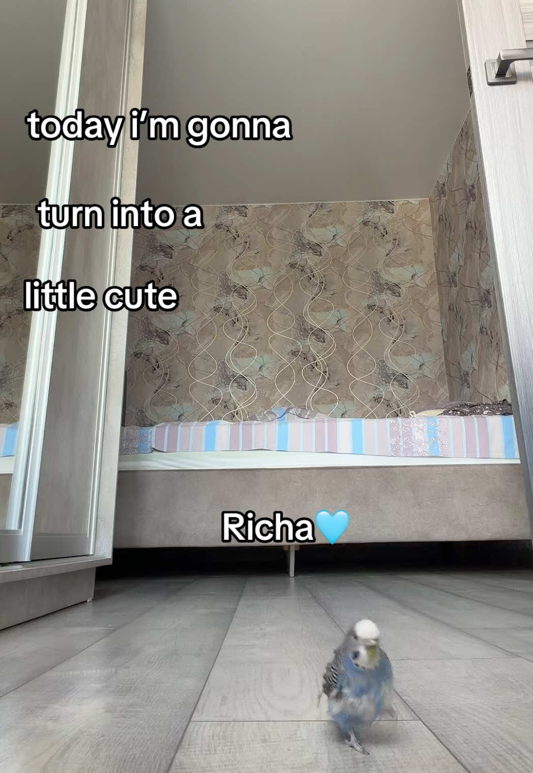 @ксенечка