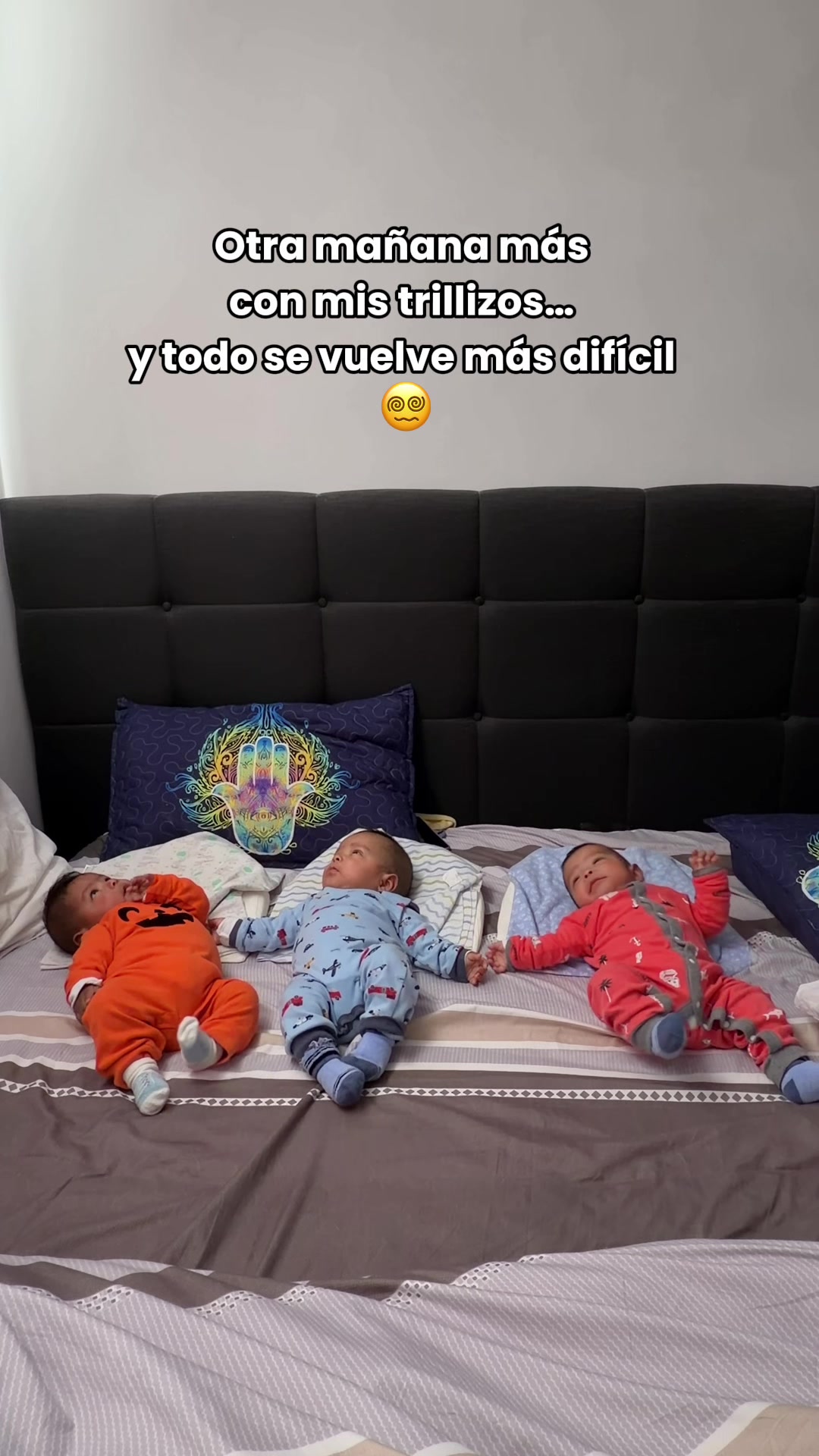 @Trillizos del Norte