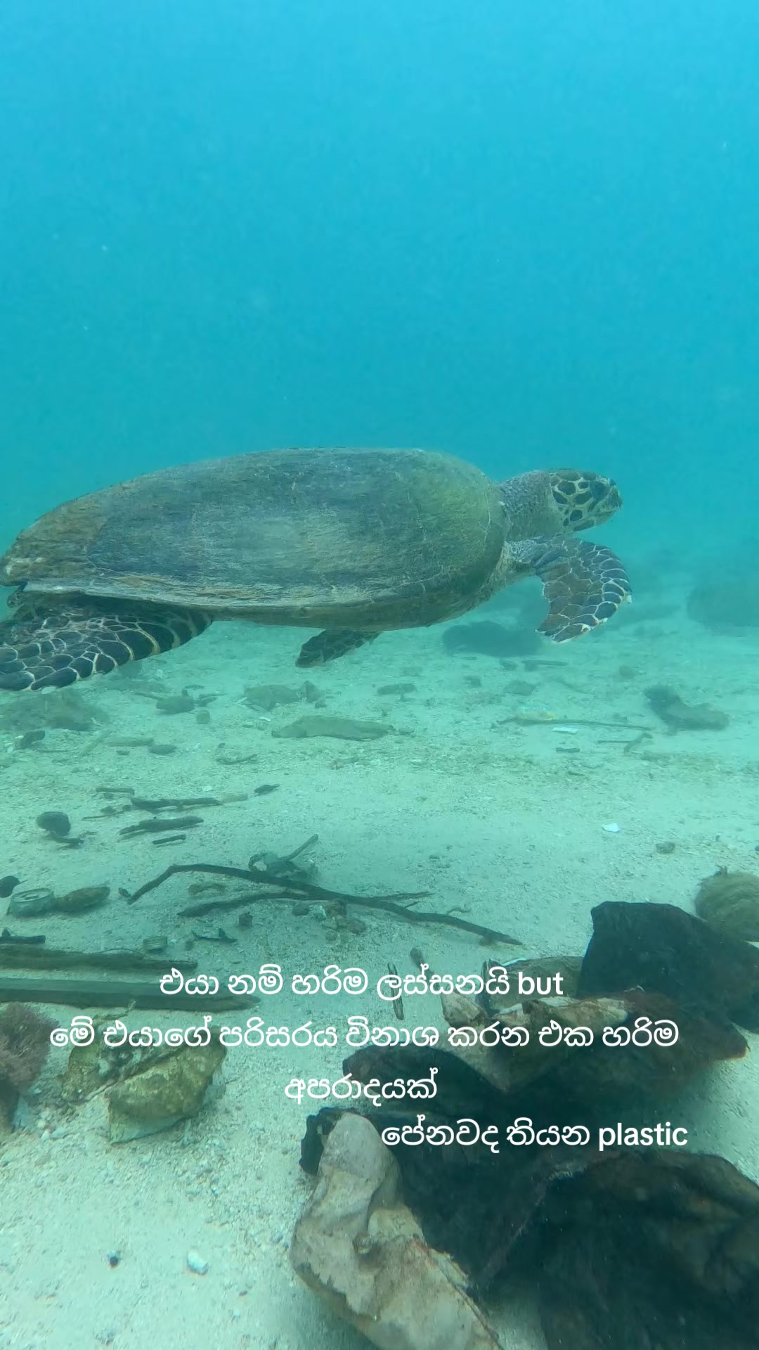 @Kalpitiya Diving Center