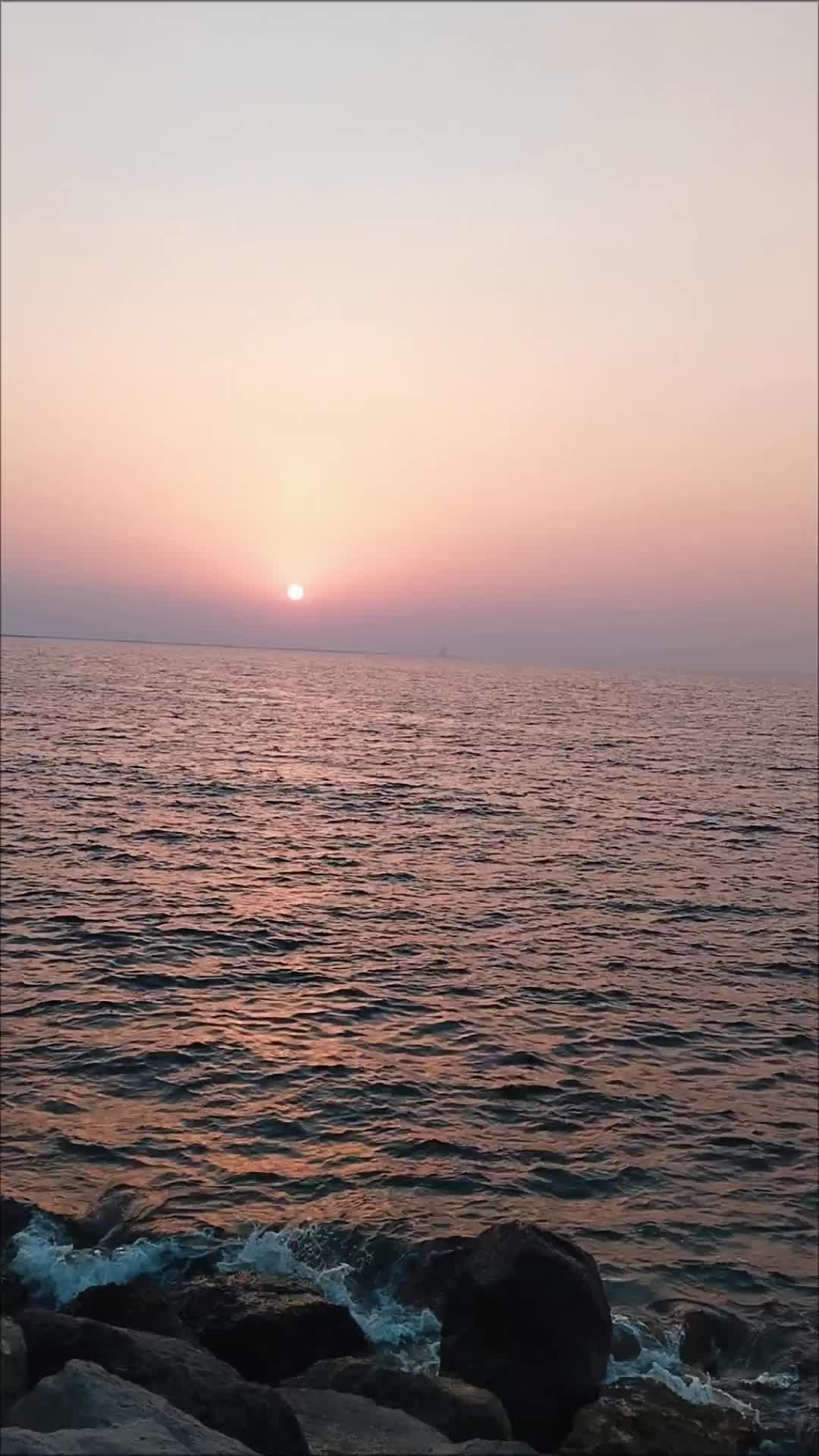 @muhammadmukhtar948