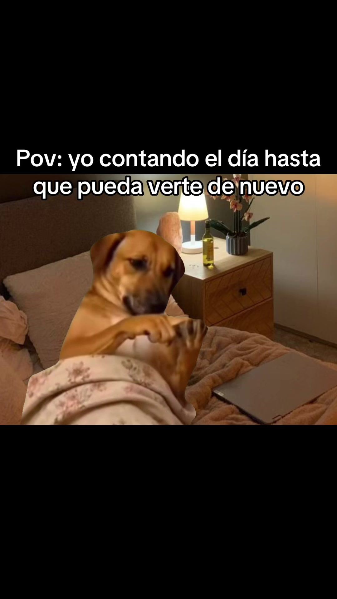 @AmorInfiny