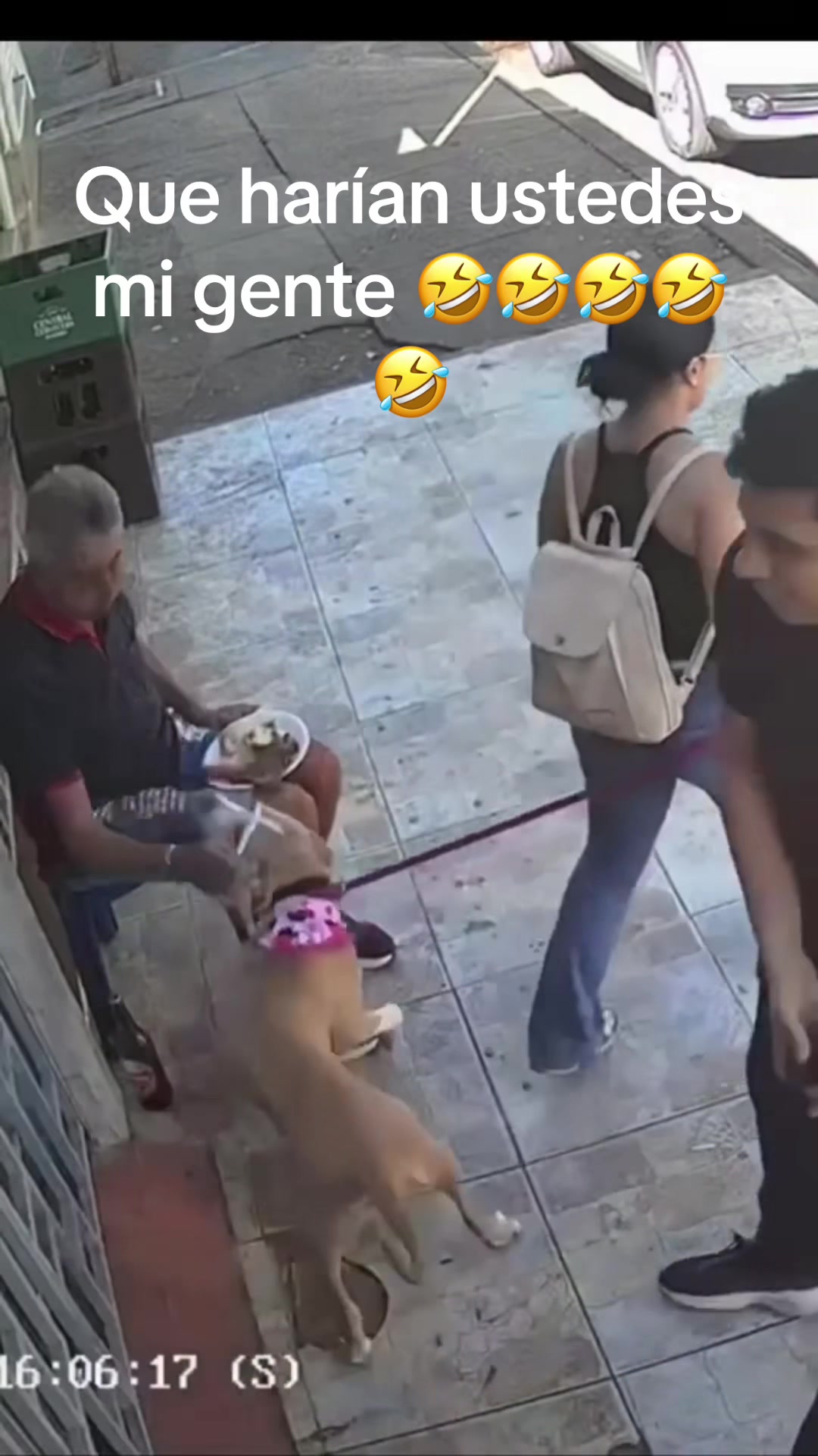 @@catracho504🤷&zwj;♂️🤷&zwj;♂️