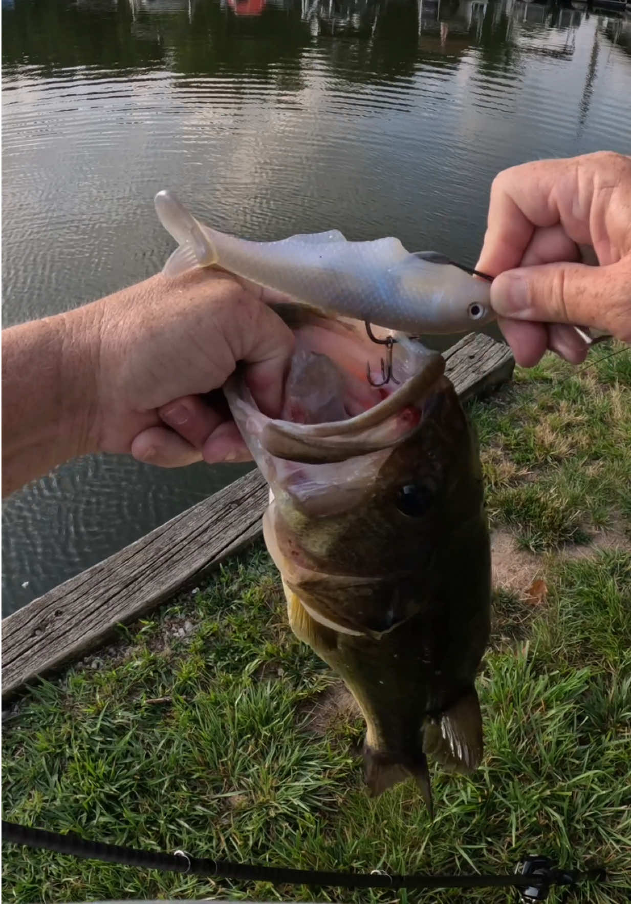 @Tacklehead Fishing
