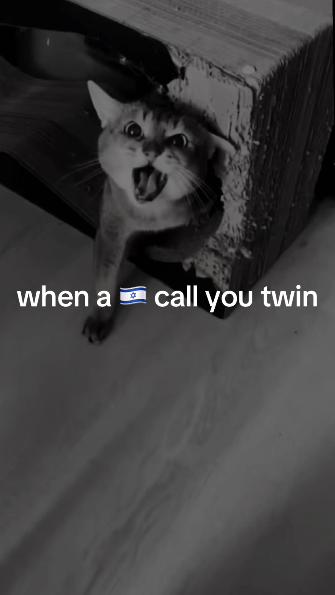 @ryyqn!