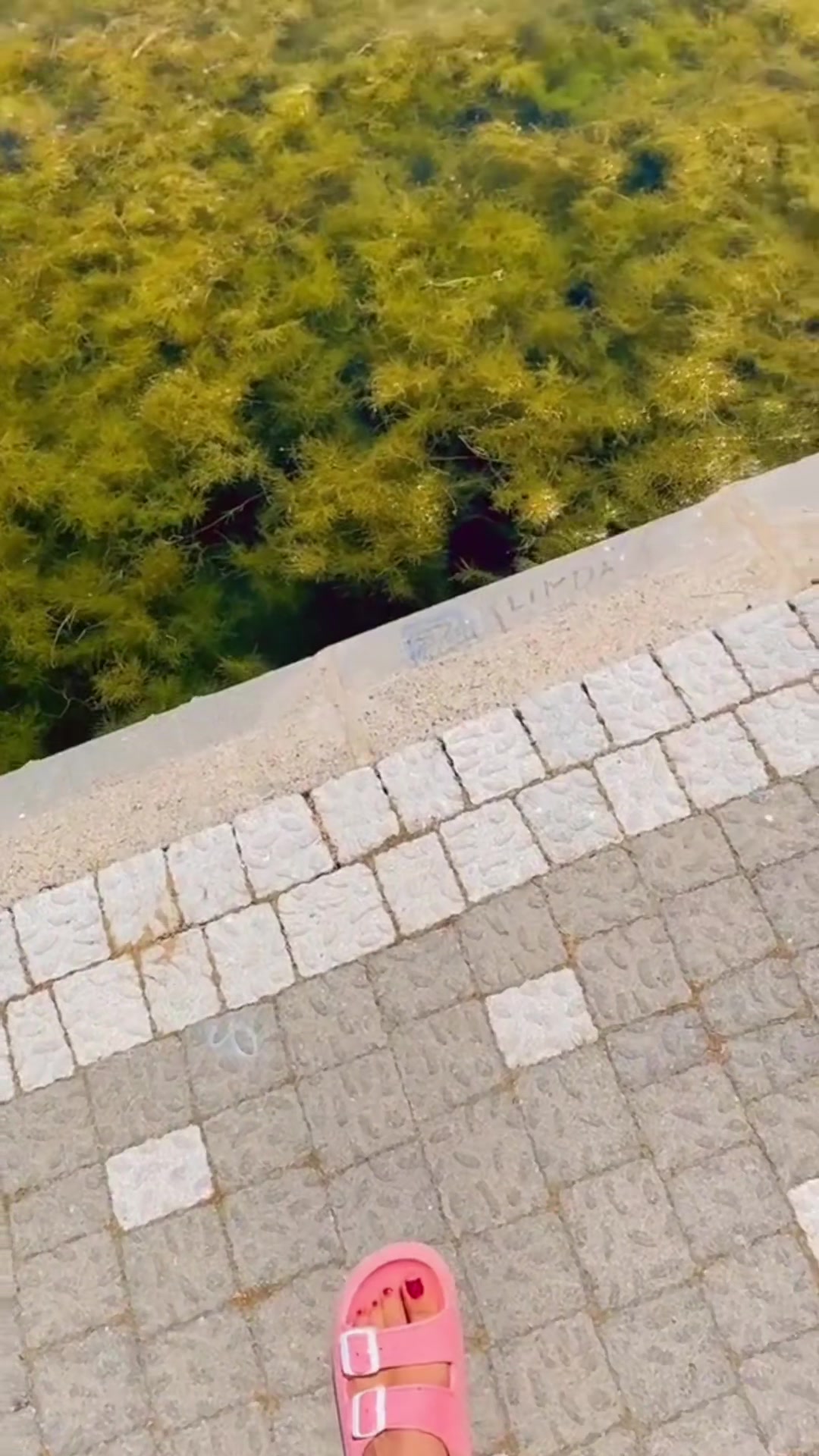 @☀️☀️☀️