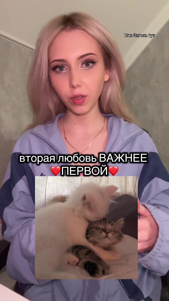 @Тгк:Энгель тут