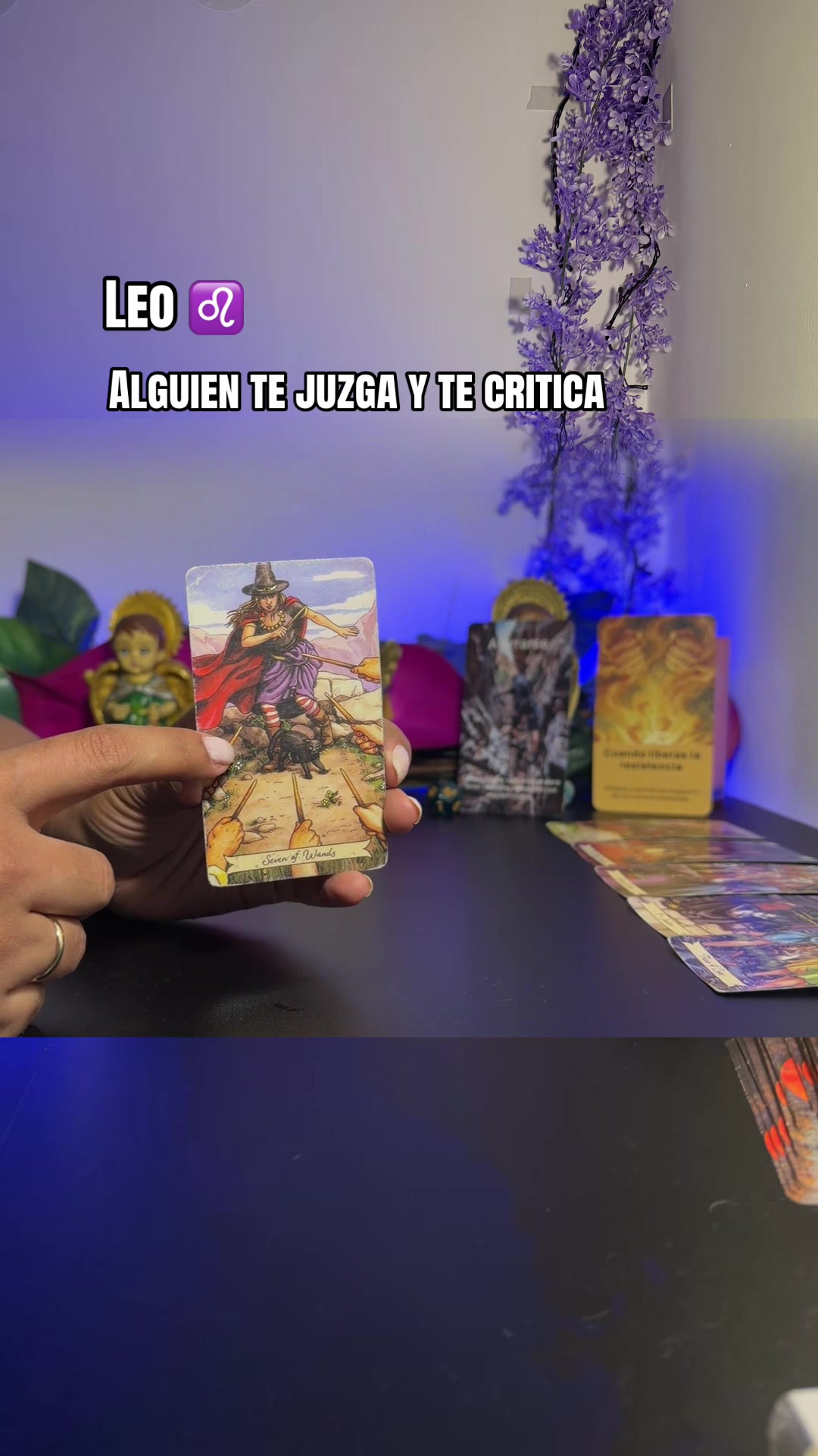@camitarot77