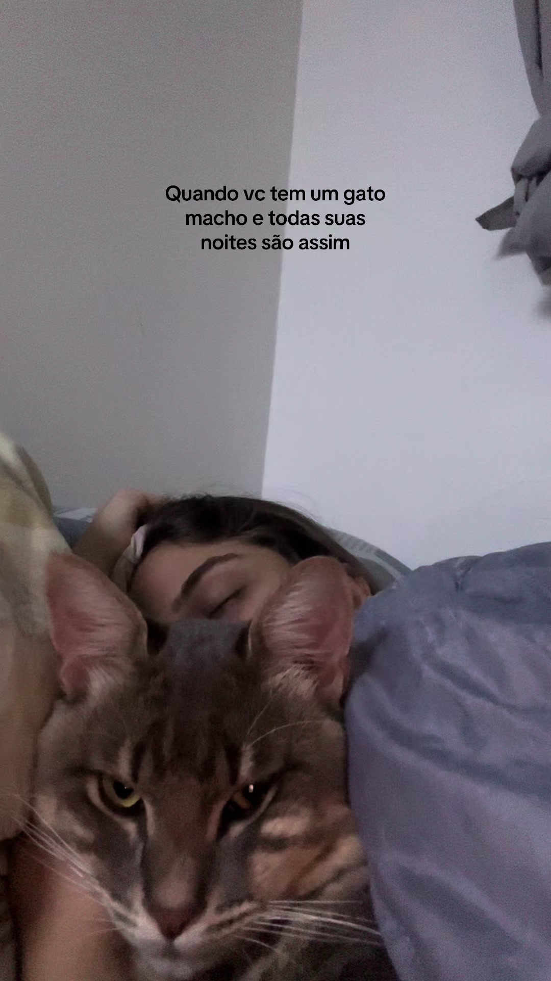 @Beatriz camile