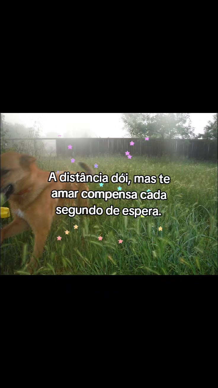 @Lari