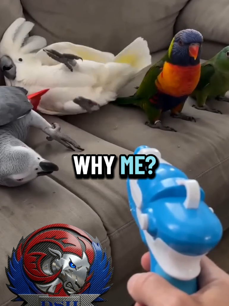 @DarkShadowII
