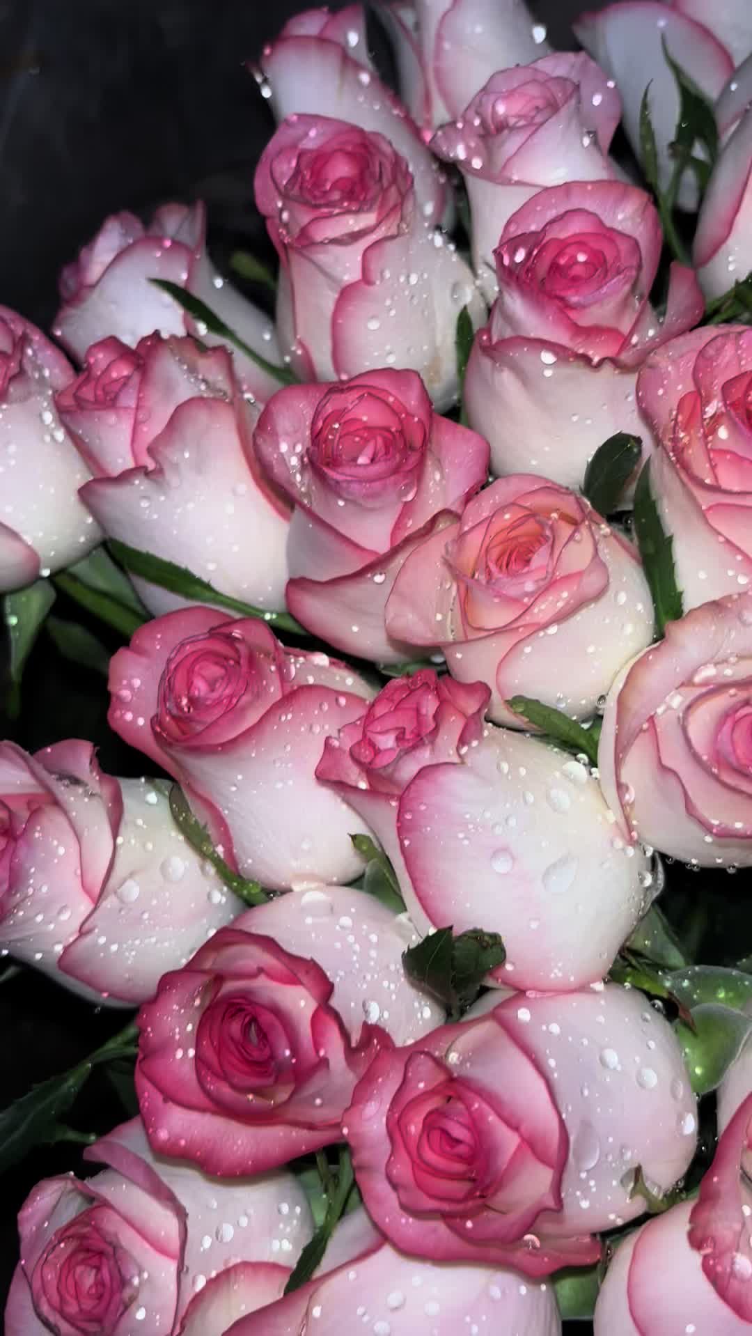 @𝒁𝒂𝒓𝒊𝒏𝒂💕