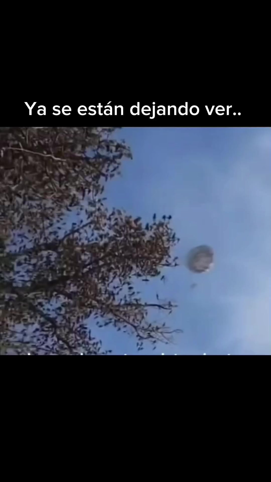@Archivos del Misterio