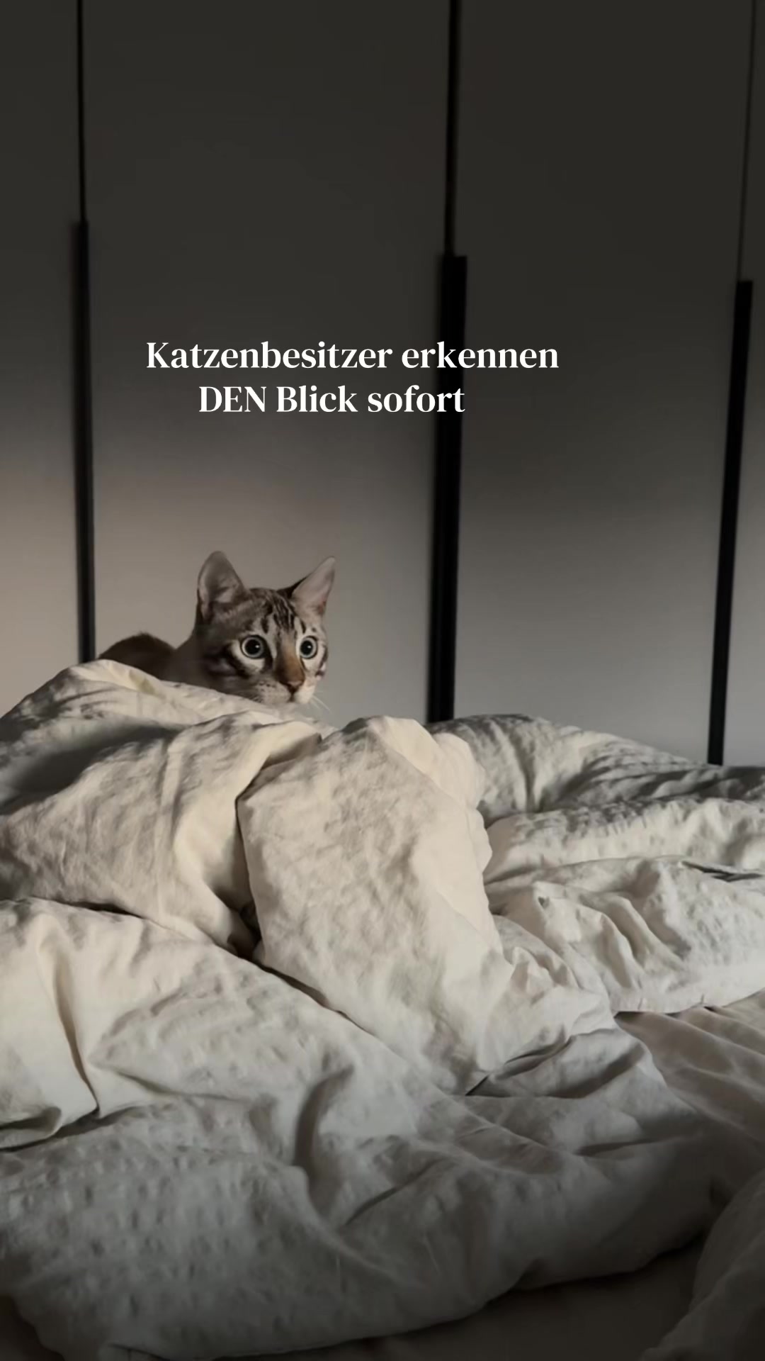 @ALINA 🐆🤎