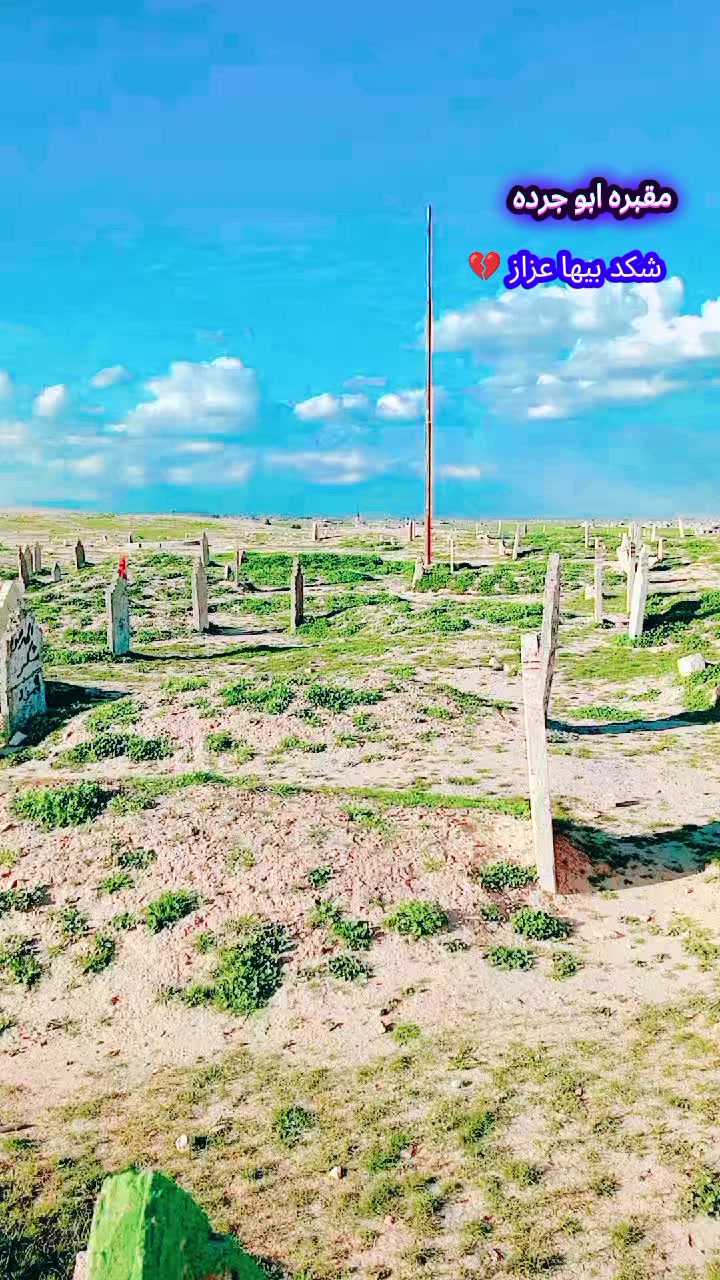 @أبــو نـسـر 🦅 ✪