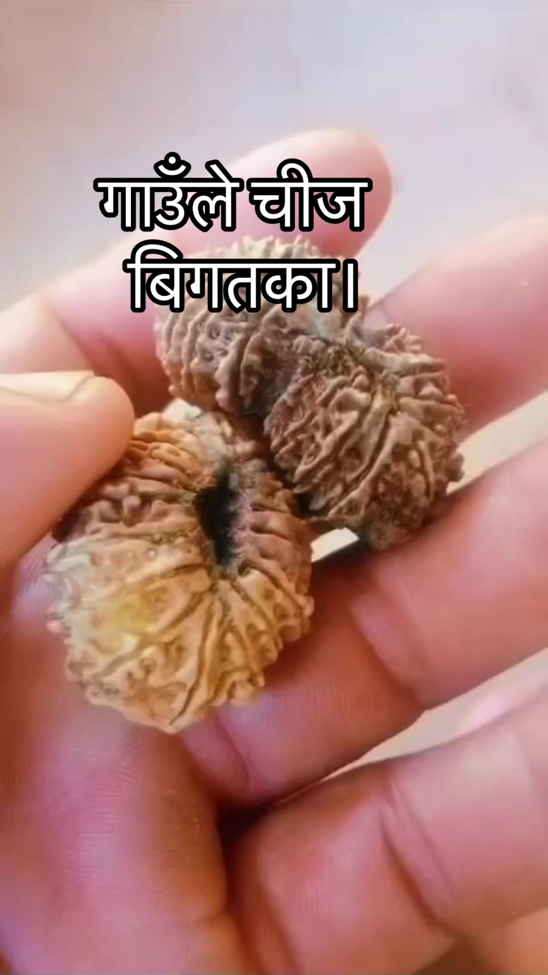 @नखावा कृषि(जय राई)