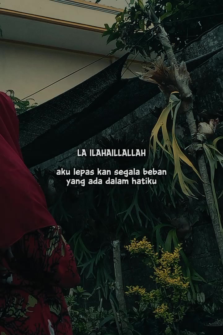 @🇲🇨🇵🇸 Mawar Merah 🌹