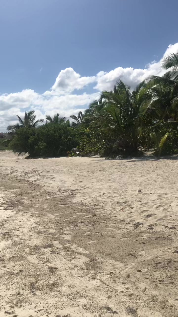 @MissDIGR✨💖👧🏻👧🏻