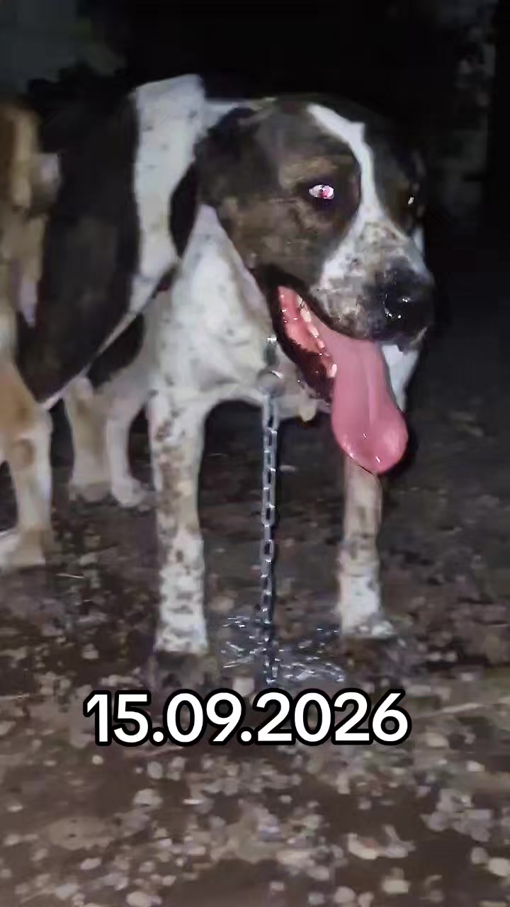 @Elşad__007