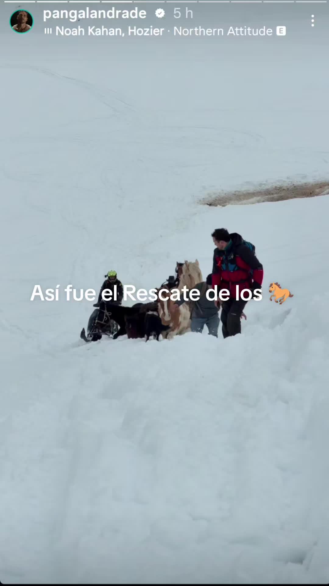 @Estefania Darlin Fuentealba