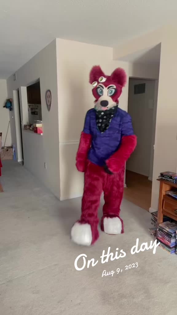 @🦊 Pete The Fox 🦊