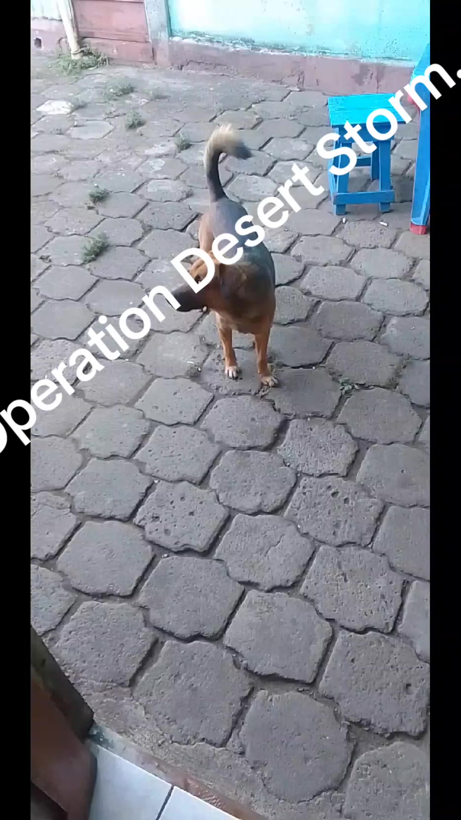 @Bendecido GÓMEZ...