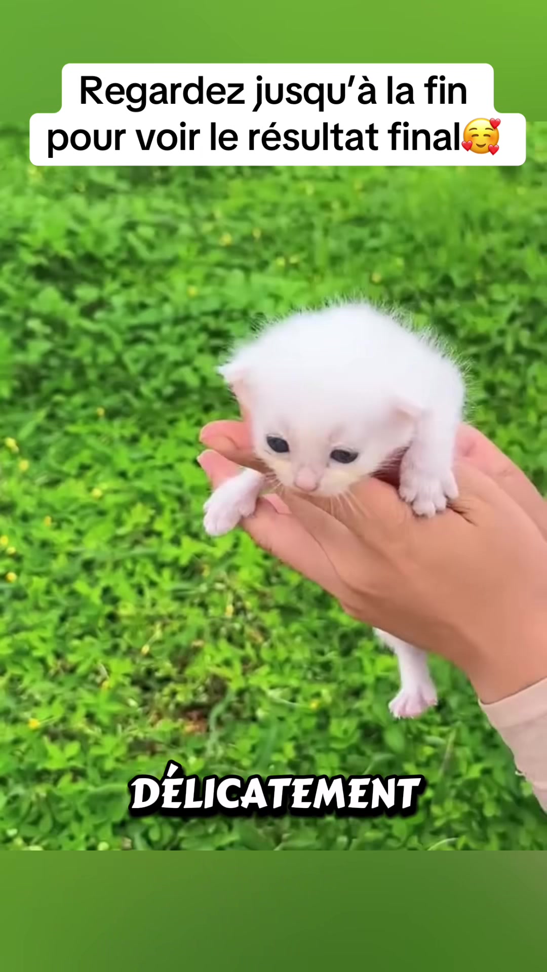 @rescueanimals69