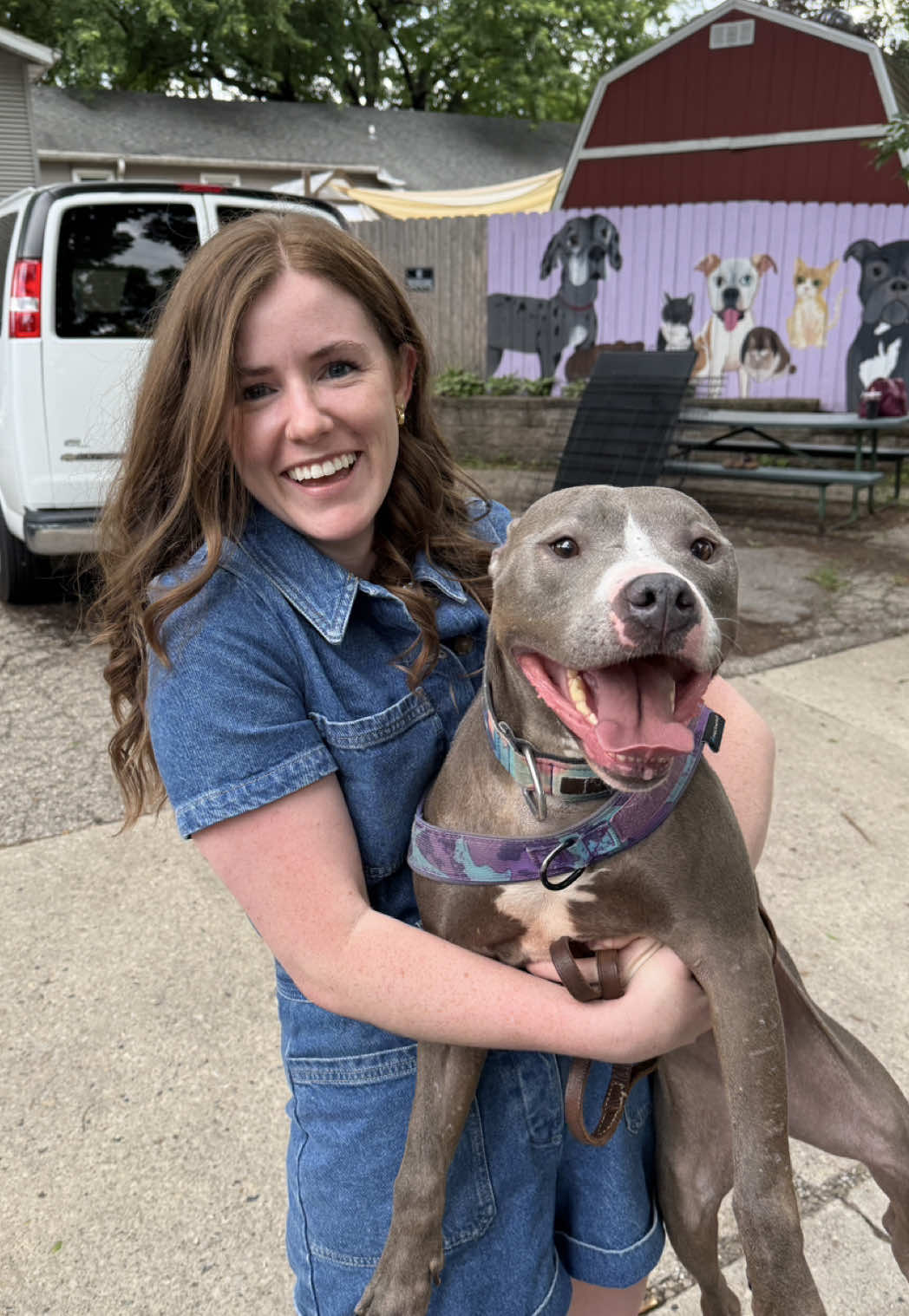 @sftsanimalrescue