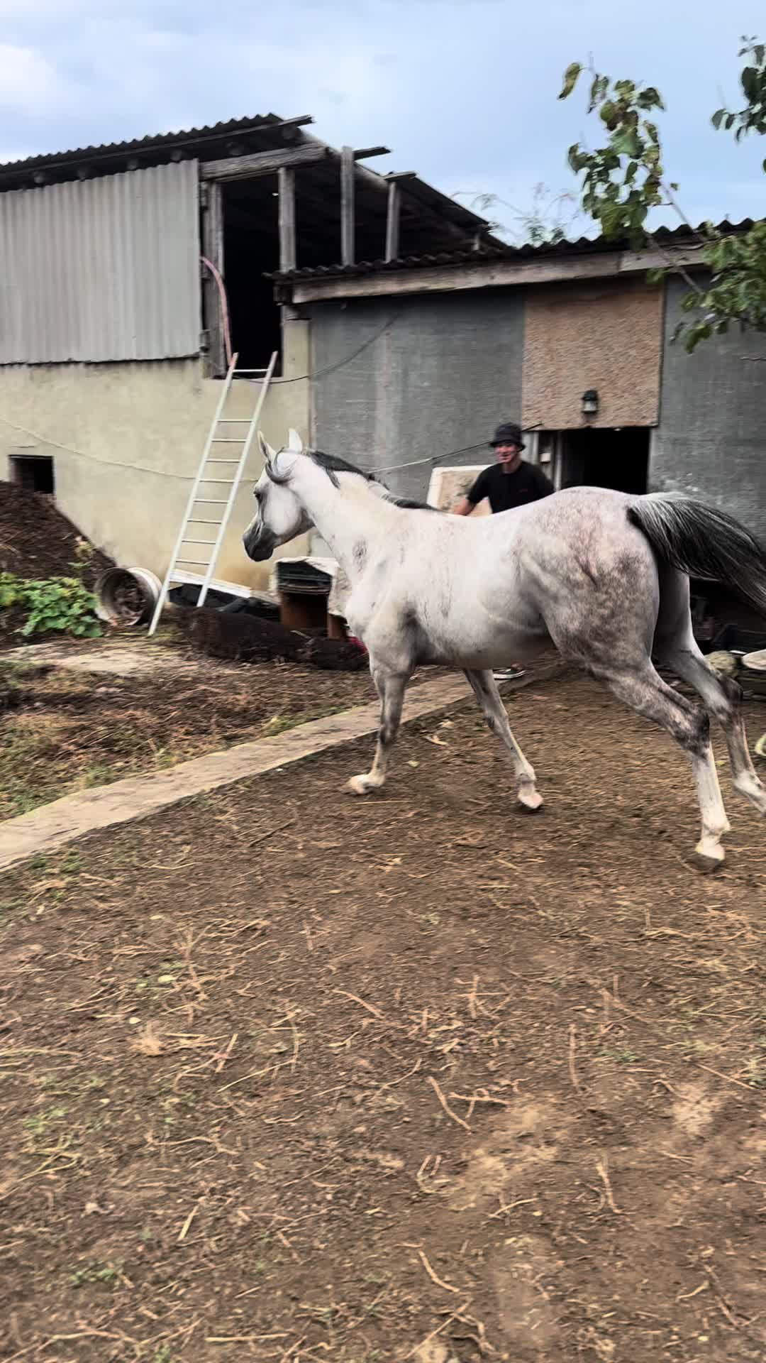 @MakvinStud