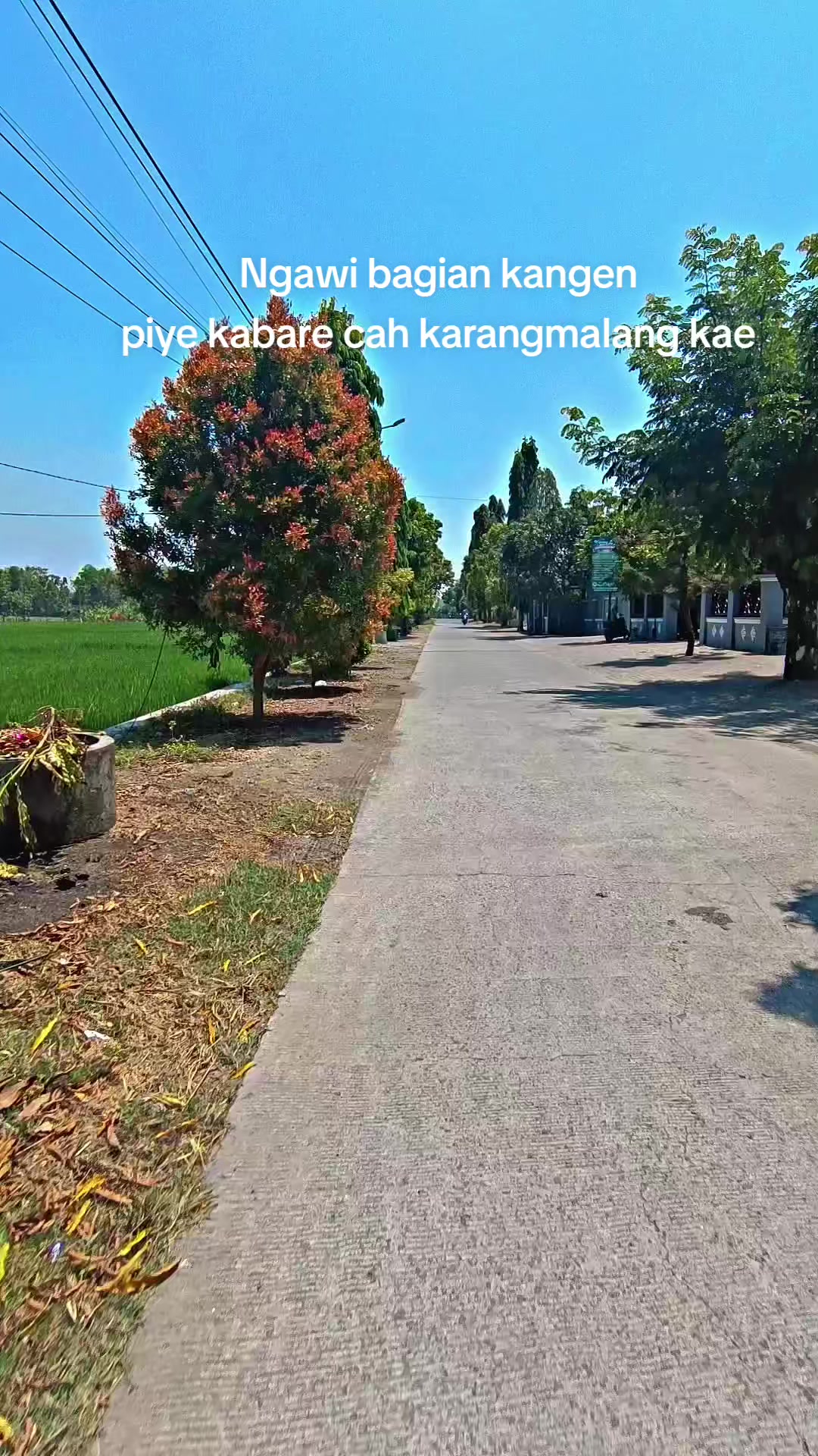 @pesonangawiramah