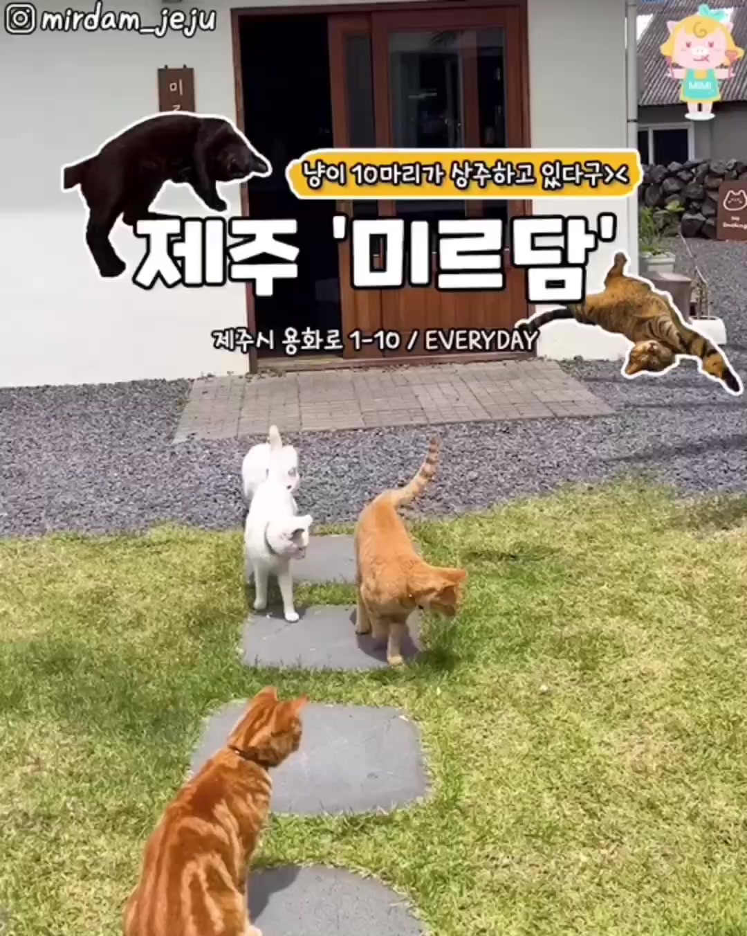 @제주핫플