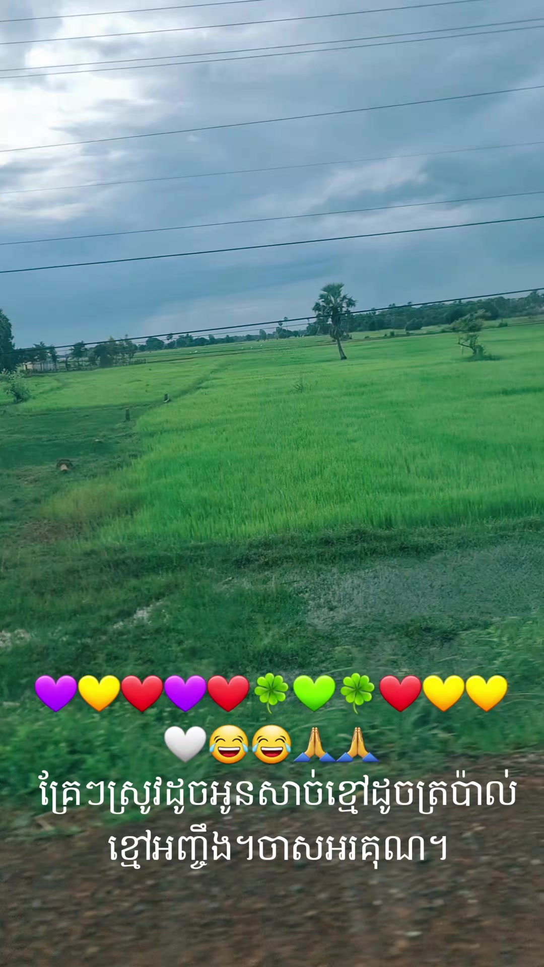 @Rachana