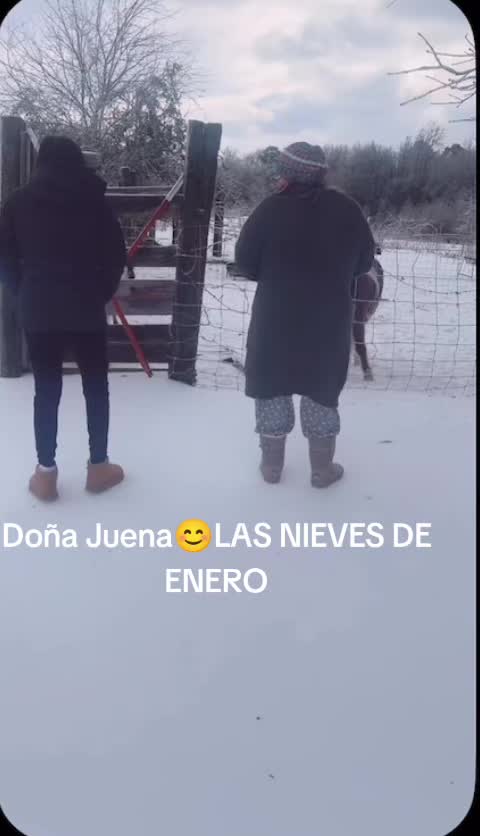 @Maria Irene Hernandez