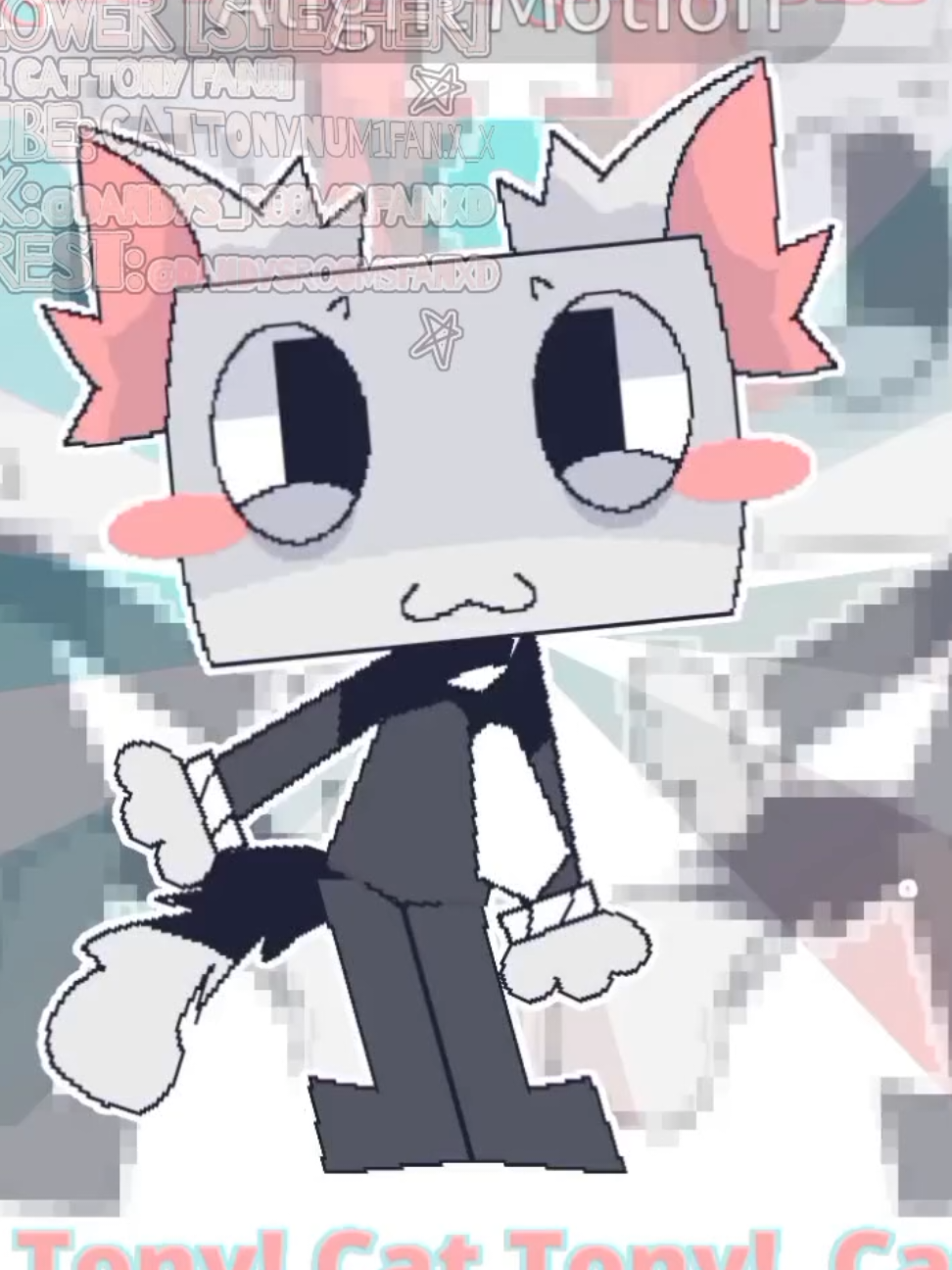 @SUNFLᗢWER/#1 CAT TONY FAN