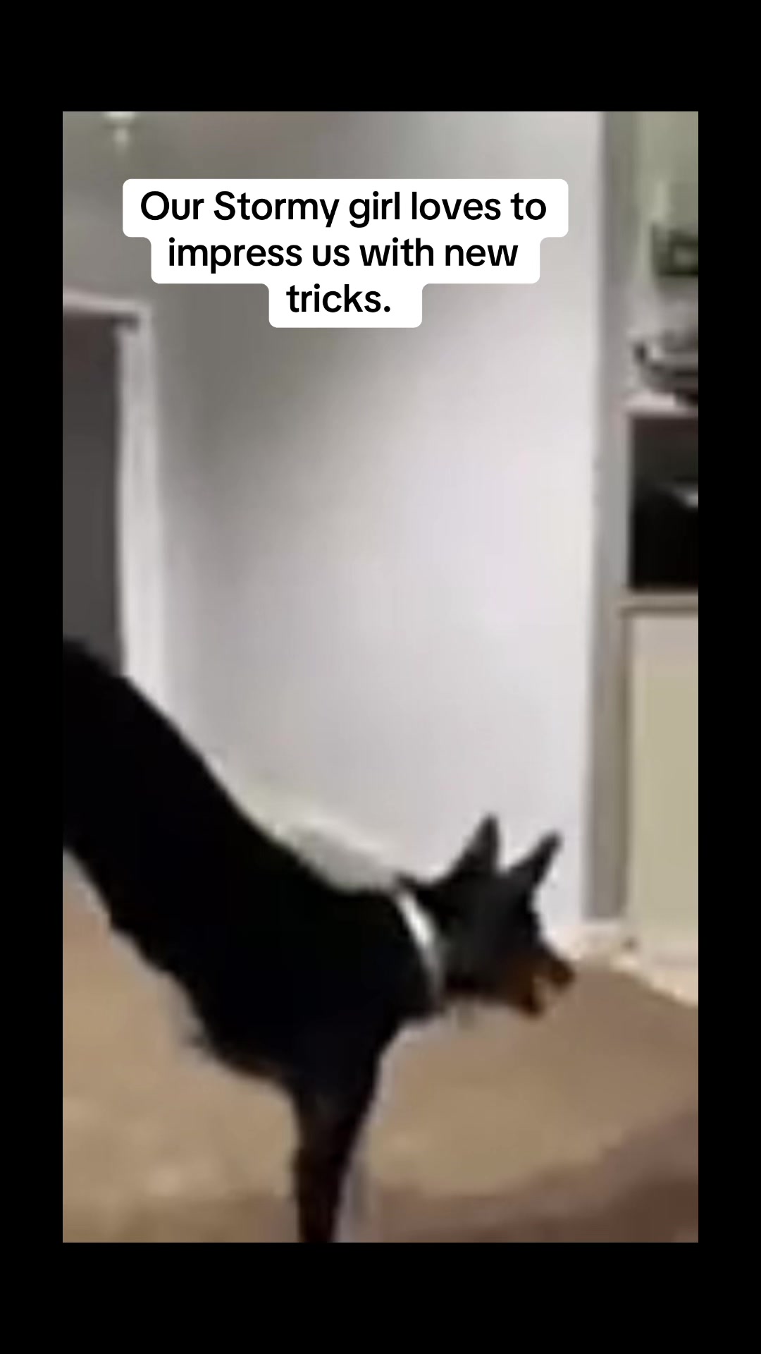 @FitKersey_29