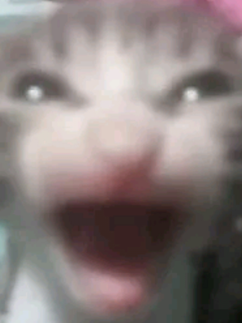@milao