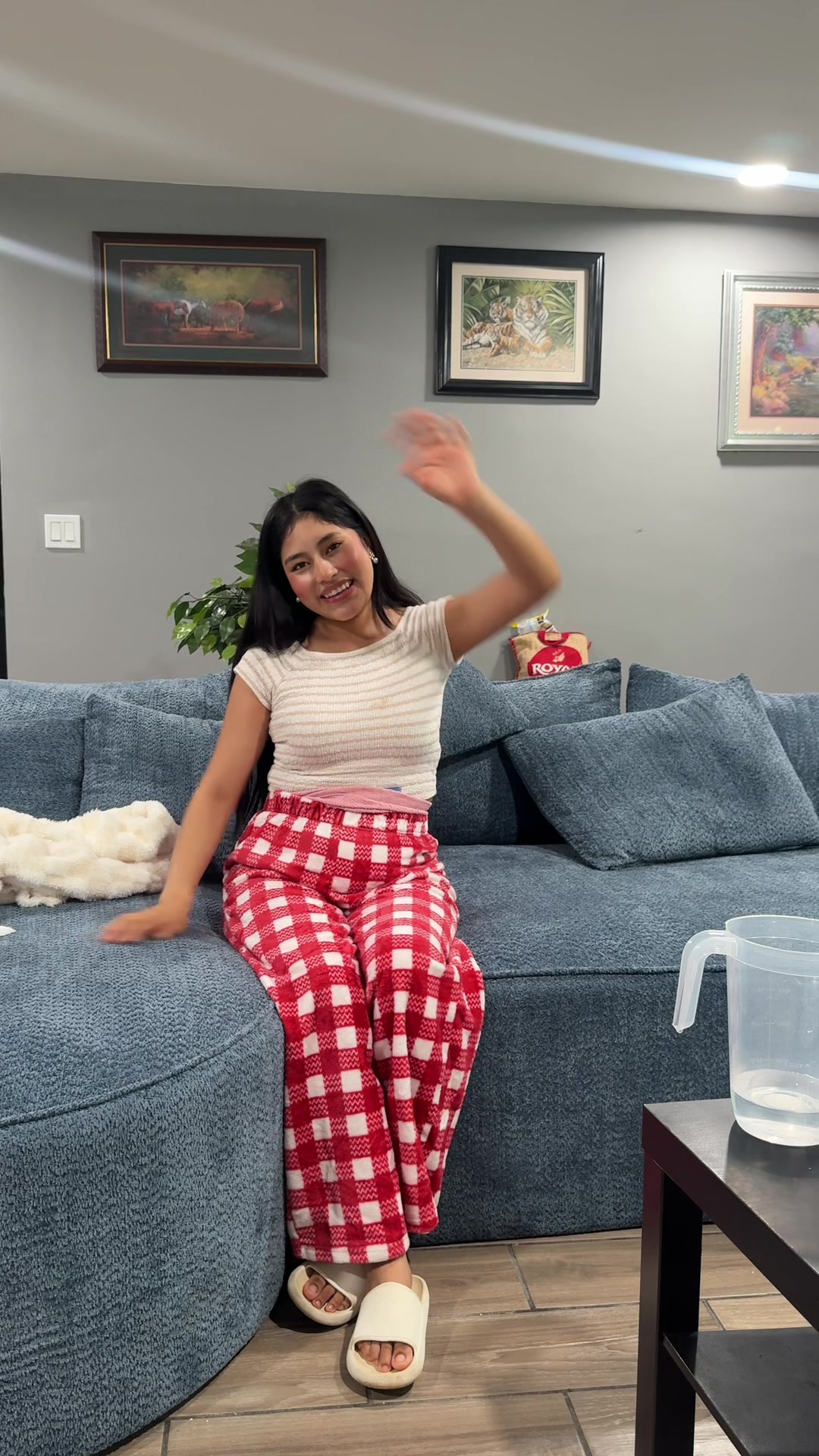 @Lisbeth Suasnabar | Mini vlogs