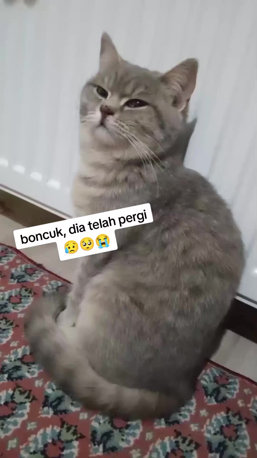 @Seni seviyorum Linda