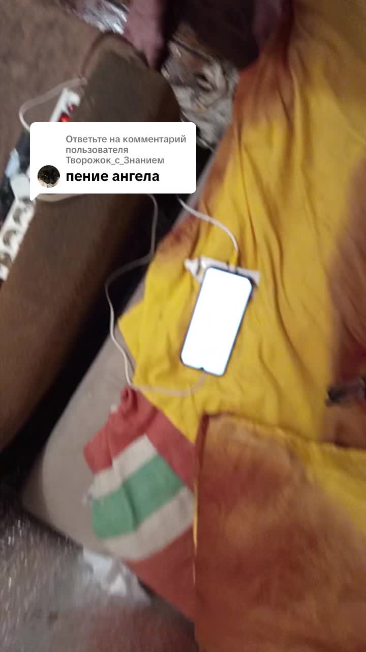 @user753674787