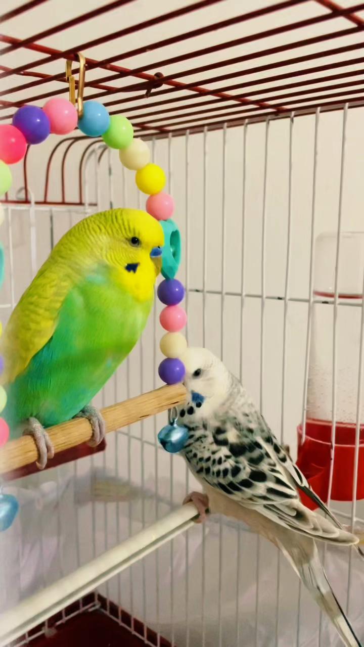 @๐๐ฎ๐๐ตâ ๐๐ฒ๐ฝ๐ฎ๐ป ๐ผ
