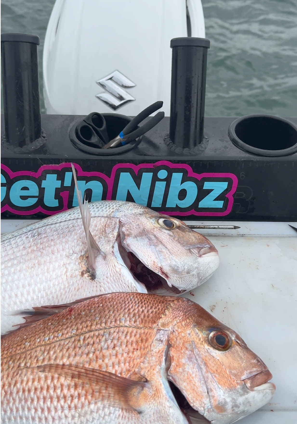 @Get'n Nibz